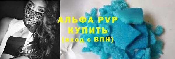 ECSTASY Белокуриха