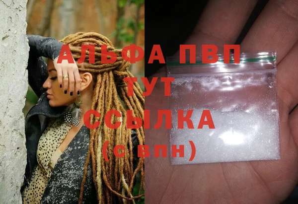 стаф Пересвет